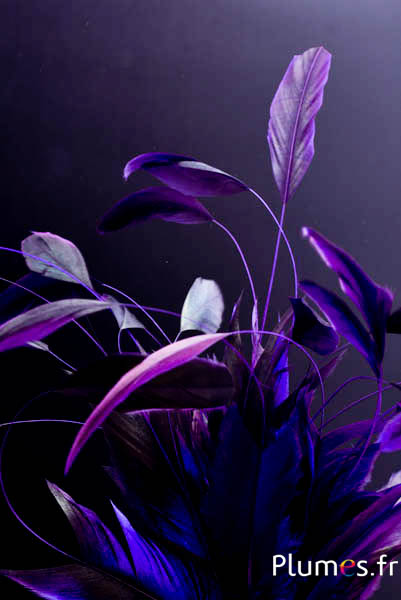 Gallo frusta Body Split - 23-28 cm - nero-melanzana